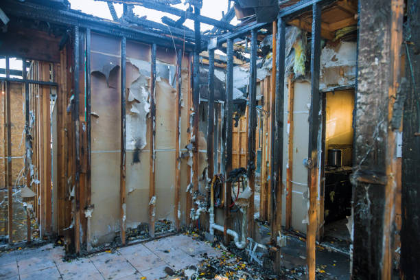 Professional Odor Removal technician working in Wright, FL